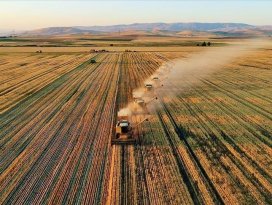 Tarımda gıda arz güvenliği için yerli ve milli adımlar atılacak