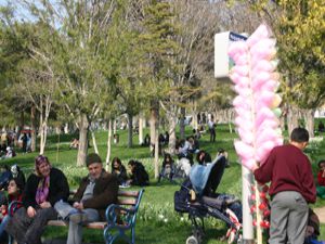 Bahar geldi parklar şenlendi