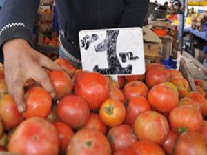 Konyada domatesin fiyatı düştü