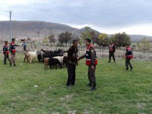 Sürü sahibinin yüzünü jandarma güldürdü