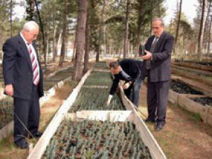 Konyaya yeni orman müdürü atandı