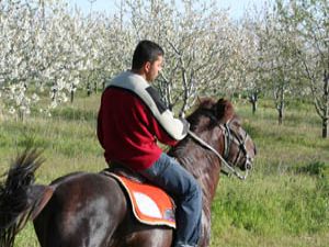 Beyşehir Gölü çevresinde atlı safari keyfi
