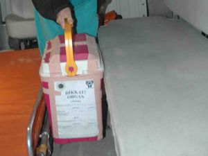 Organ bağışı sayısı çok az!