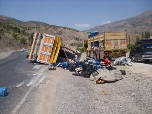 Sebze yüklü kamyon devrildi