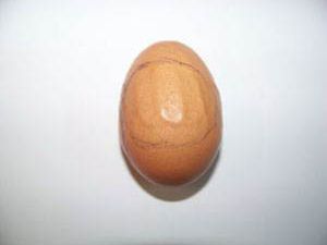 Yumurtayı görenler şaşırdı
