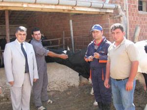 Şap aşı kampanyası başladı