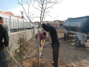 Yeşil bir Karatay için