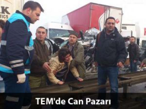 Ak Parti Temayül yoklamasında