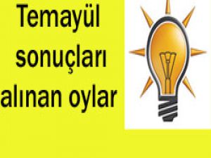 Konya temayül tam liste