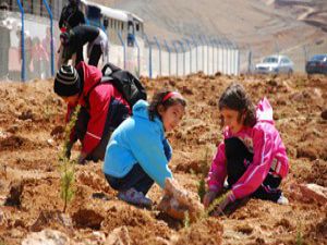 Başkan Akyürek:Yeşil alanları birlikte koruyalım