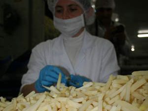 10 bin ton patates saklanacak