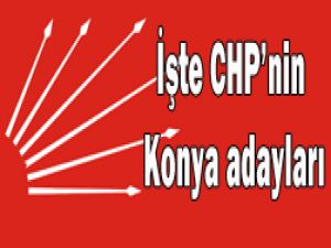 İşte CHPnin Milletvekili Aday Listesi