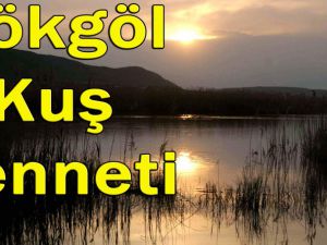 Konyada gizli kalmış bir cennet