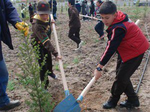 Karatay izcileri 16 Bin 500 m2 lik orman oluşturdu