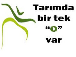 Konya Şeker rekor kırıyor