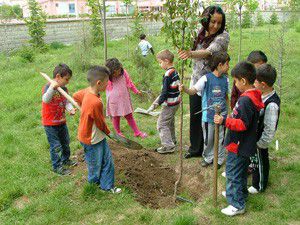 Anasınıfı öğrencileri fidan dikti