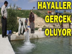 Önergeler projeye dönüşüyor