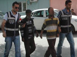 Güvercin kümesi esrar yuvası olmuş