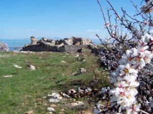 Kubadabad Sarayları kazıları yeniden başladı