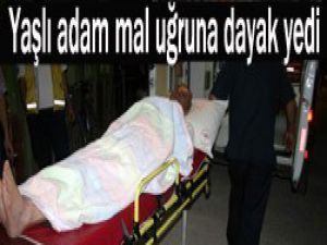Adamı taşla dövdüler