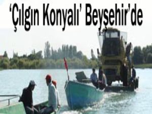 Çılgın Konyalı çiftçileri zorluyor
