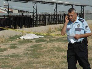 Elektrik akımına kapılarak can verdi