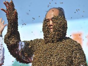 Arılar vücutlarını sardı ama...