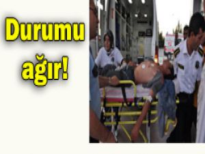 Hayvan otlatırken yılan soktu