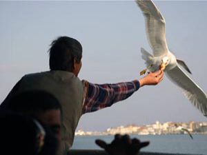 Güne güzel başlamak için...