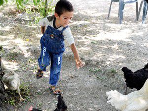 Türkiyede nakil yapılan en küçük hasta