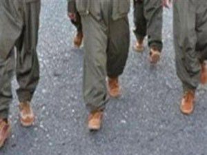 Şırnakta 5 terörist teslim oldu