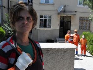 Şikayet edildi, 16 kedisinden ayrı kaldı