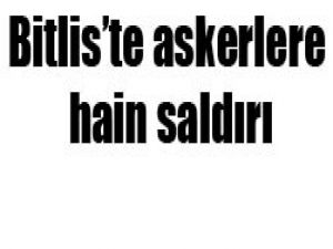 Bitliste hain pusu