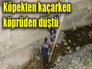 MEDAŞ işçisi hastanelik oldu
