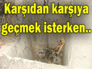 Konyada yayaya kötü sürpriz