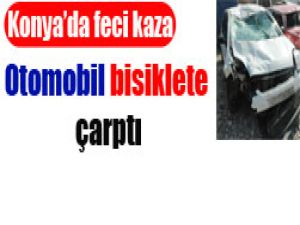 Dede ve torunu öldü