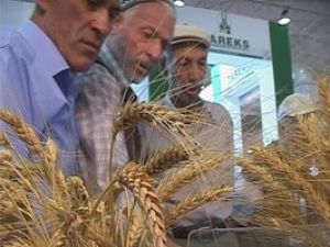 Konya Tohum 2011 Fuarına büyük ilgi