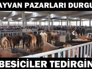 Köy karantinaya alındı