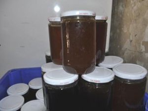 Seydişehirde bal üreticileri denetliyor