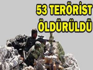 Hakkaride 53 terörist öldürüldü