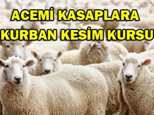 Seydişehirde Kurban Bayramı hazırlıkları tamamlandı