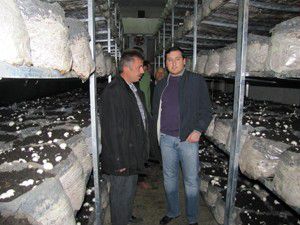 Konyada kültür mantarı ürretim tesisi açıldı