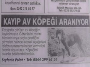 Kayıp köpeğe gazete ilanı