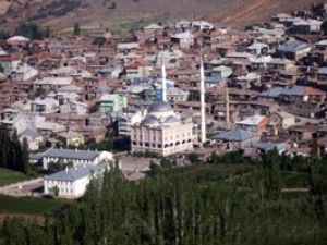 Seydişehirde kuduz karantinası