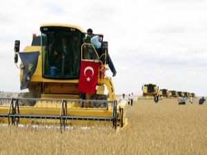 Her yıl 800 bin ton hububat boşa gidiyor