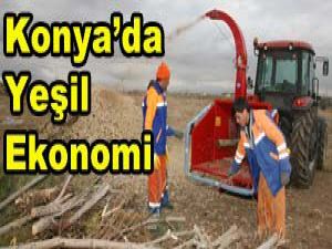 Bitki atıklarından gübre üretiliyor