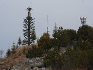 Beyşehirde baz istasyonlarına ağaç kamuflajı
