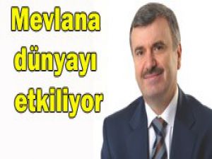 Mesnevi 22 dilde tercüme edildi