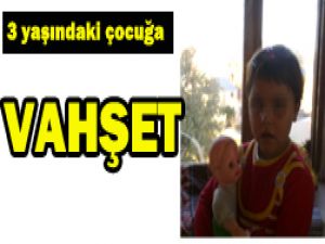 Konyada inanılmaz vahşet!
