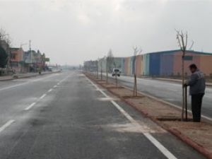 Karataydaki bu cadde yeşillendiriliyor